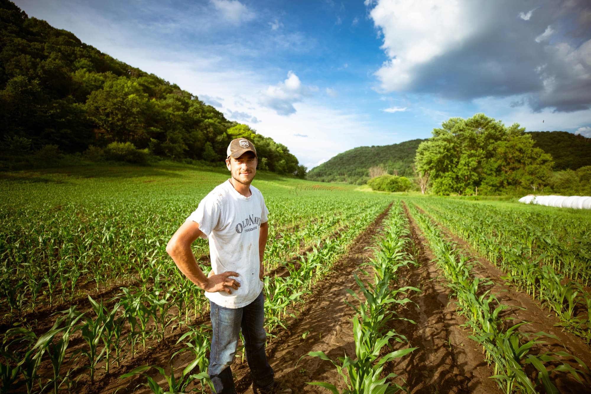 A farmer standing in rows of young maize